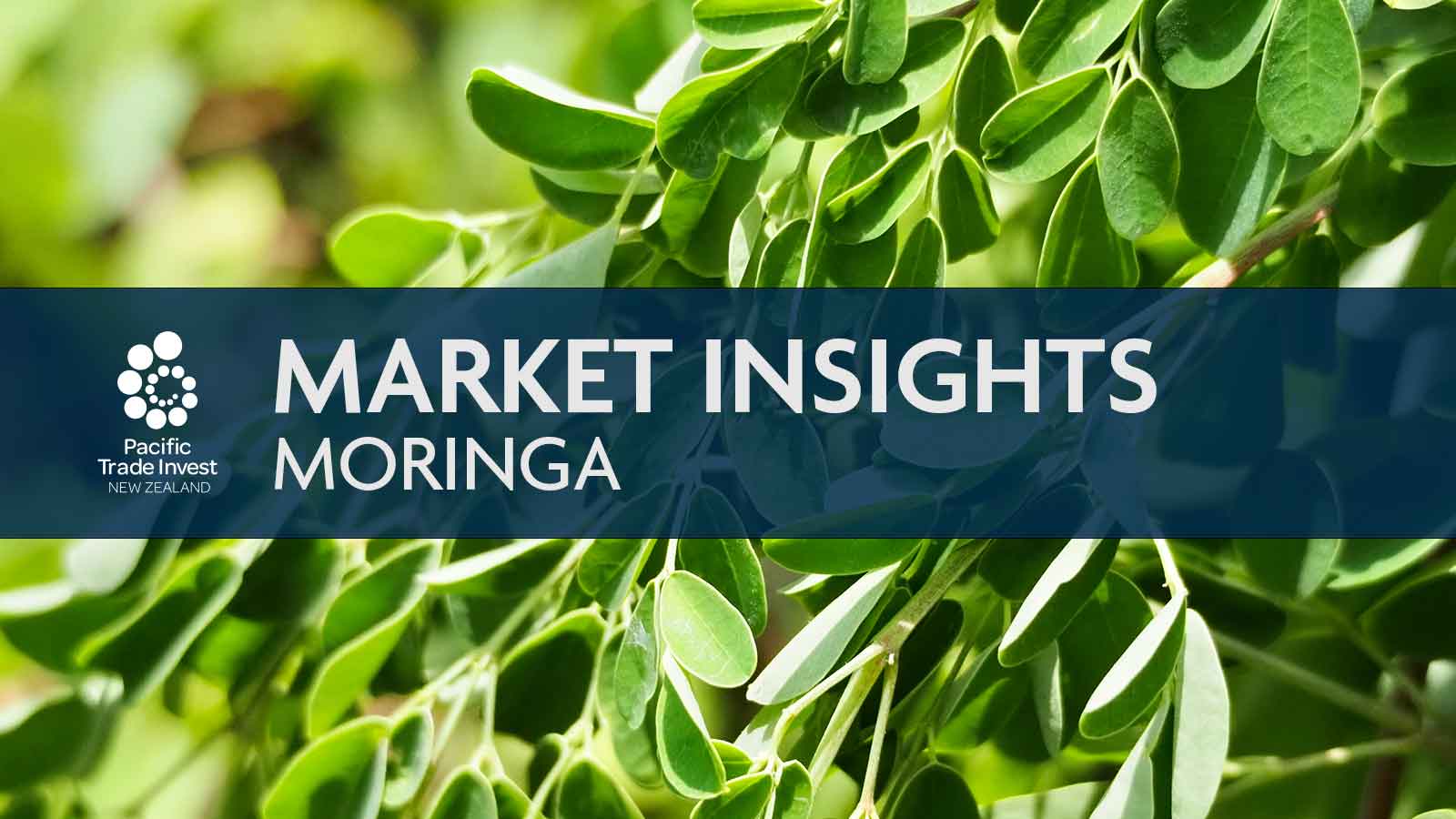 A4 Moringa